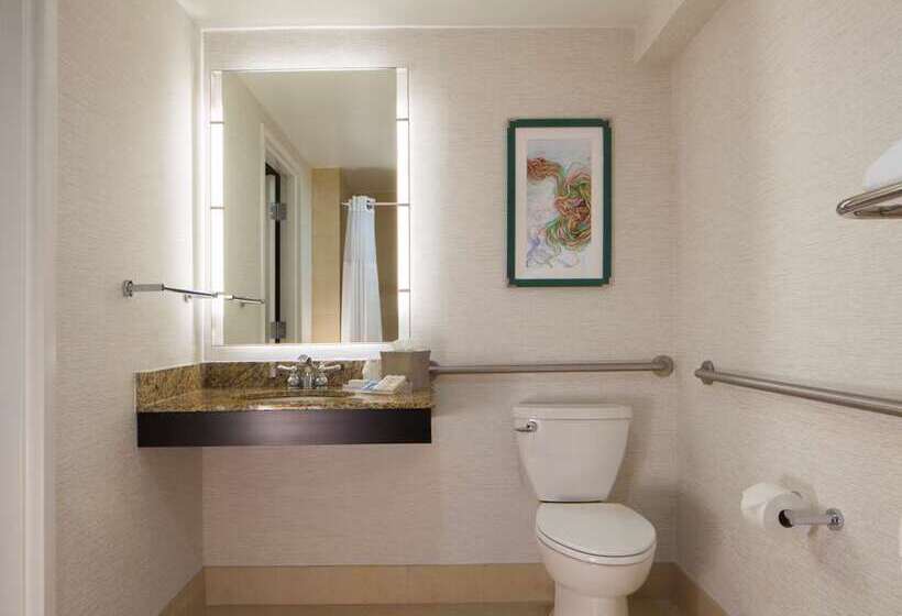 Номер Стандарт Кровать Кинг Адаптированный для Инвалидов, Canopy By Hilton West Palm Beach Downtown