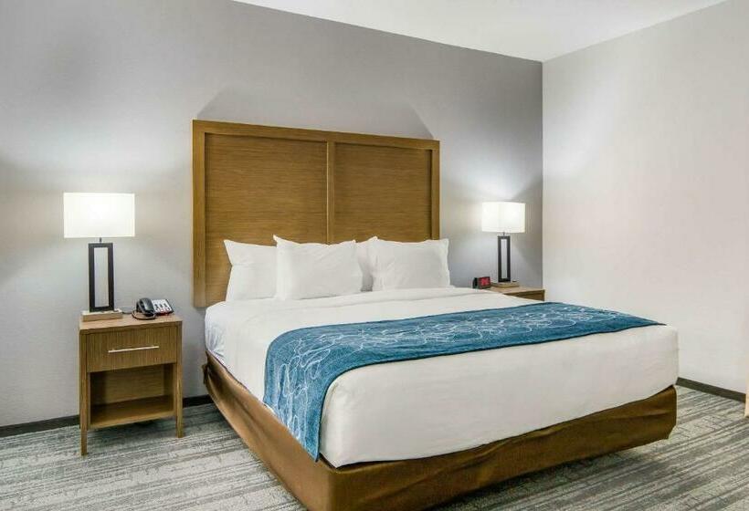 Люкс Кровать Кинг, Comfort Suites Desoto Dallas South