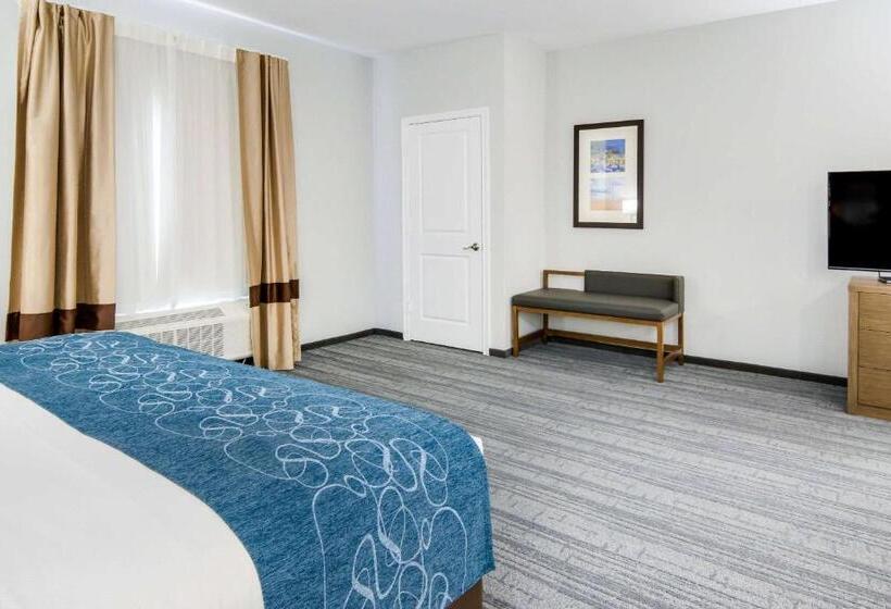 Люкс Кровать Кинг, Comfort Suites Desoto Dallas South