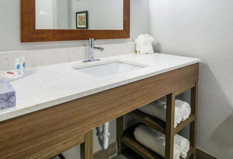 Люкс Кровать Кинг, Comfort Suites Desoto Dallas South