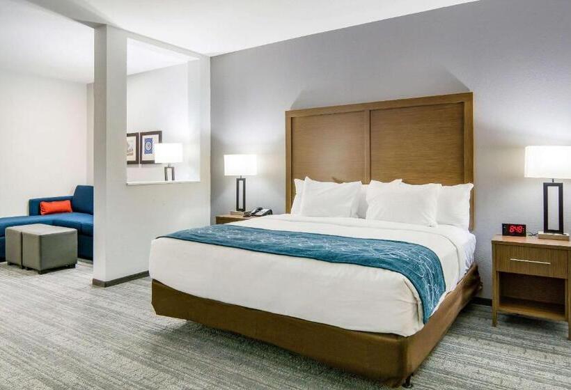 Люкс Адаптированный для Инвалидов, Comfort Suites Desoto Dallas South