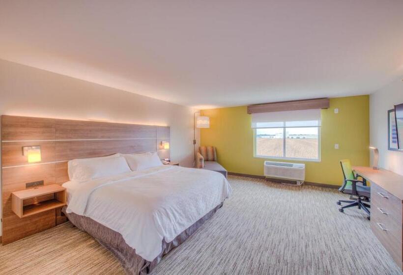 Номер Executive Кровать Кинг, Holiday Inn Express & Suites   Remington, An Ihg