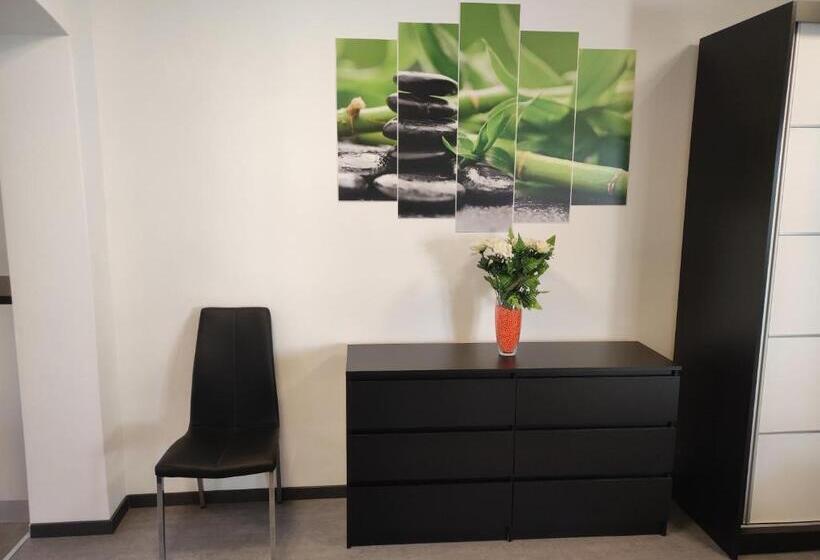 Standard Studio, Viktor Rooms And Apartments