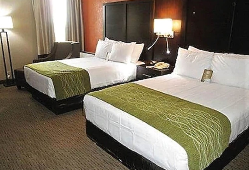 Standard Værelse 2 Dobbeltsenge, Comfort Inn & Suites Evansville Airport