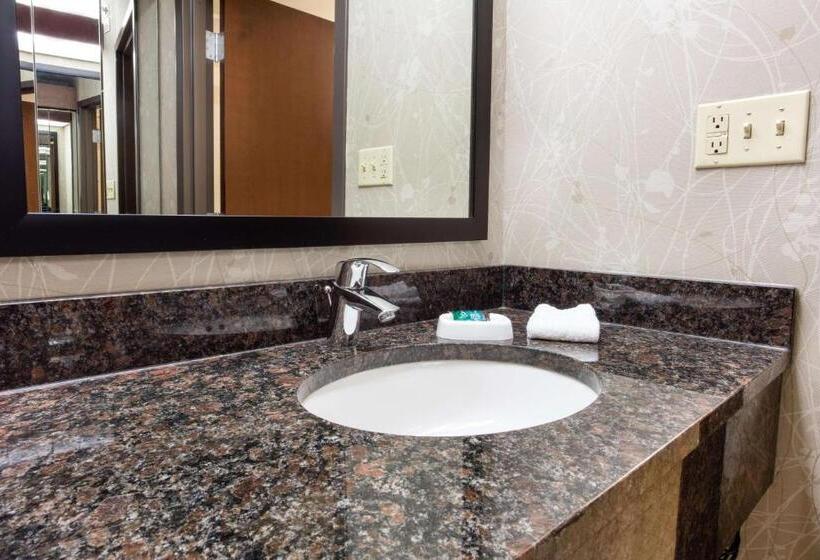 Люкс Адаптированный для Инвалидов, Drury Inn & Suites Kansas City Airport