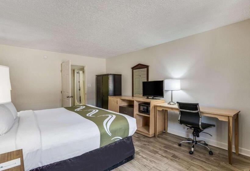 Номер Стандарт Кровать Кинг Адаптированный для Инвалидов, Quality Inn & Suites Hot Springslake Hamilton