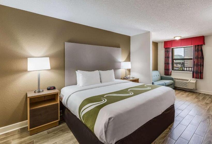 Люкс Кровать Кинг, Quality Inn & Suites Hot Springslake Hamilton