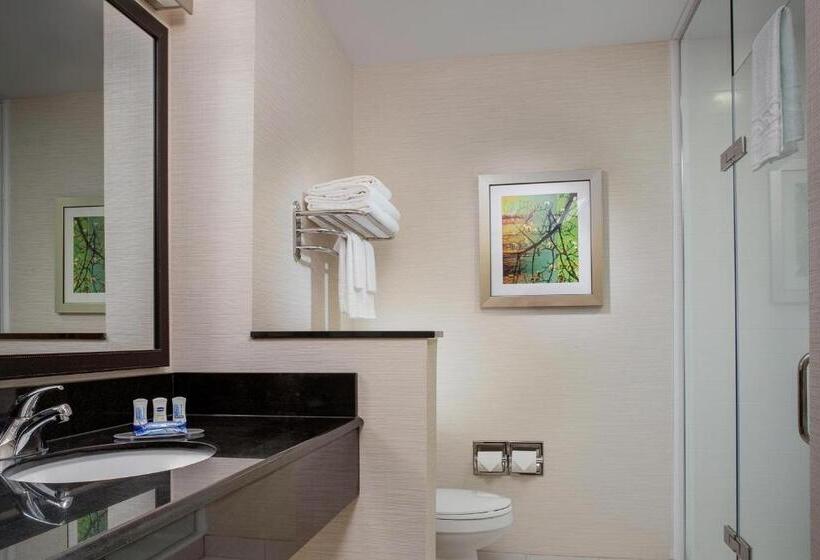Люкс, Fairfield Inn & Suites Lincoln Crete