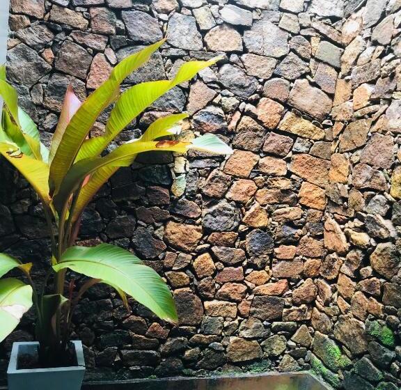 Трехместный Номер Deluxe, Mango Tree House