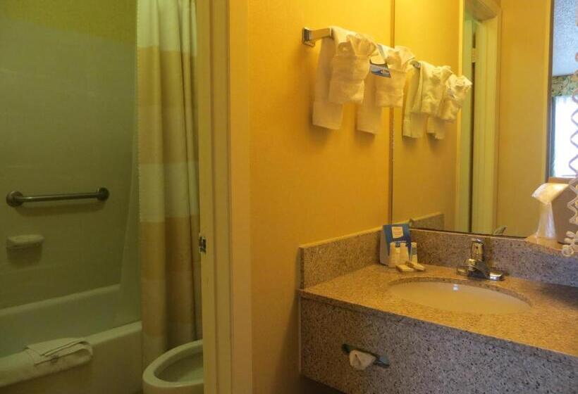 Номер Стандарт 2 Двуспальные Кровати, Baymont By Wyndham Kalamazoo East