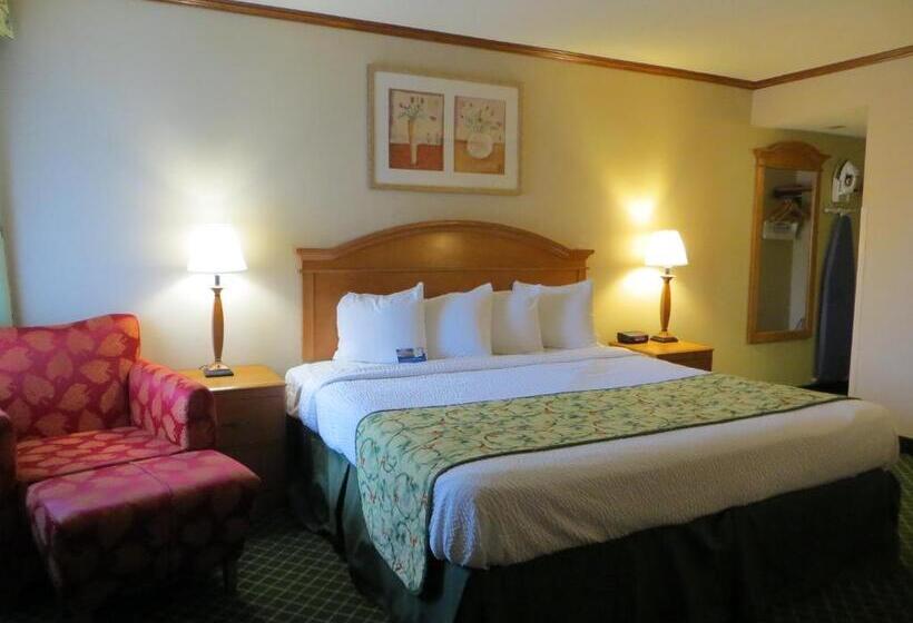 Номер Deluxe Кровать Кинг, Baymont By Wyndham Kalamazoo East
