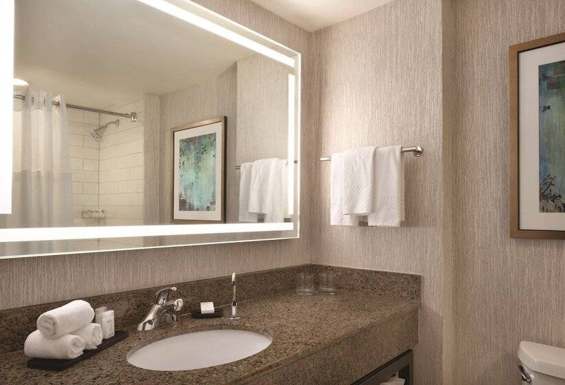 Люкс Адаптированный для Инвалидов, Embassy Suites By Hilton Atlanta At Centennial Olympic Park