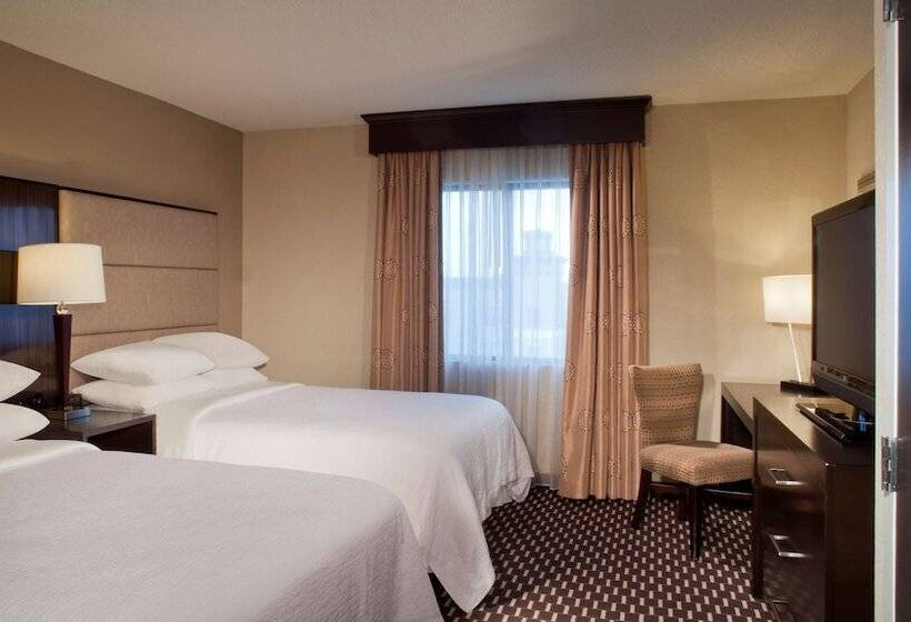 سوئیت 2 خوابه, Embassy Suites By Hilton Houston Near The Galleria