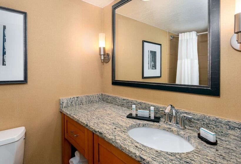 Люкс Адаптированный для Инвалидов, Embassy Suites By Hilton Kansas City International Airport