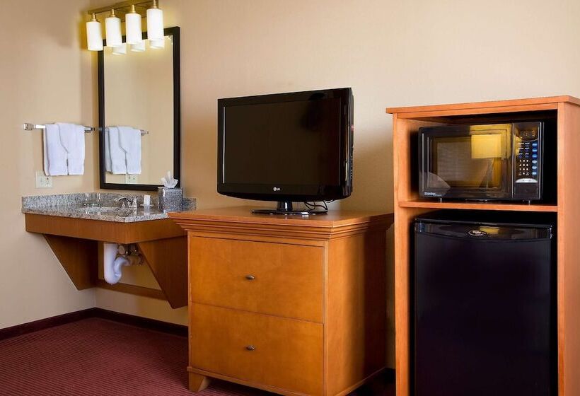 Люкс Адаптированный для Инвалидов, Embassy Suites By Hilton Kansas City International Airport