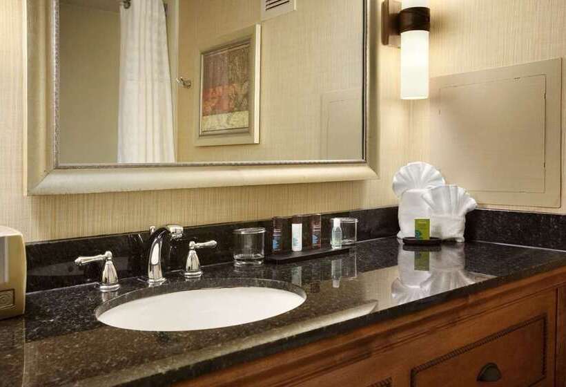 Люкс, Embassy Suites By Hilton Kansas City International Airport