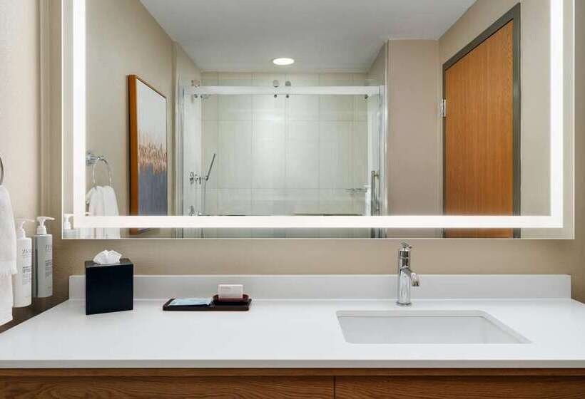 Люкс Кровать Кинг, Embassy Suites By Hilton Kansas City International Airport