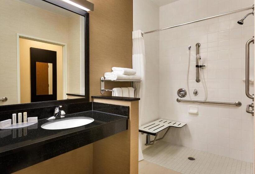 Стандартный Номер Кровать Кинг, Fairfield Inn & Suites By Marriott Toledo Maumee