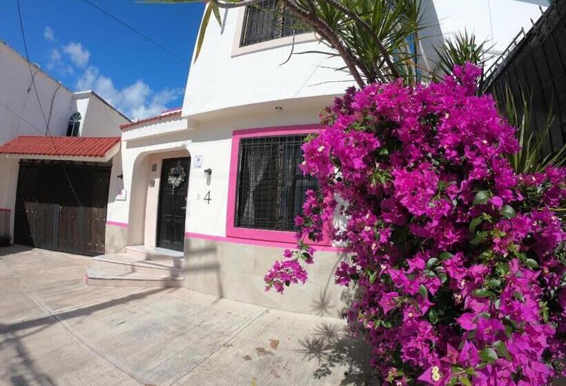Standard Kolmen Hengen Huone, Casa Bugambilias Cancun   Hostel