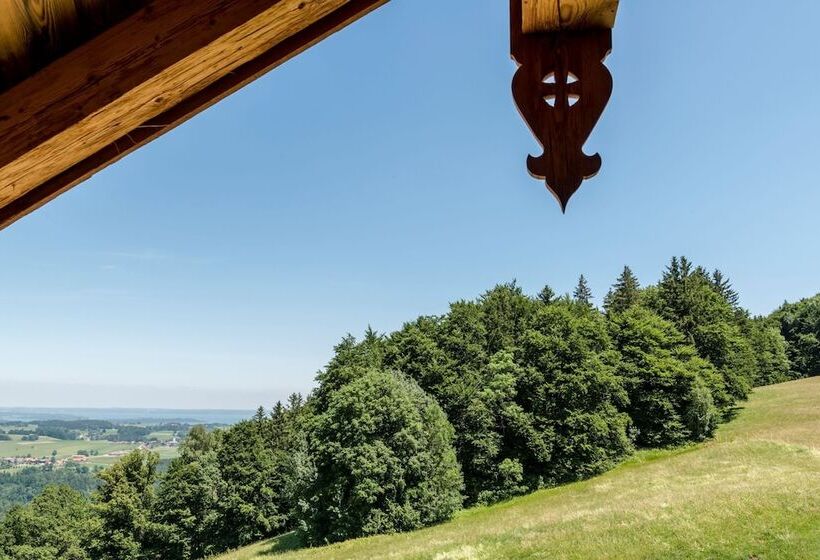 Апартаменты Deluxe 1 Спальня, Chiemsee Chalet