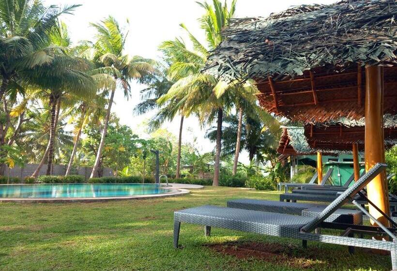 اتاق استاندارد با چشم‌انداز استخر, The Nature Park Villa