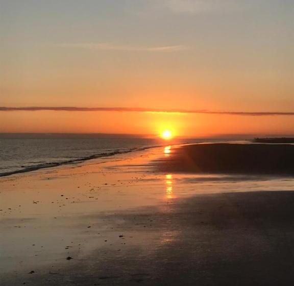 Номер Стандарт, Sudstrand Amrum