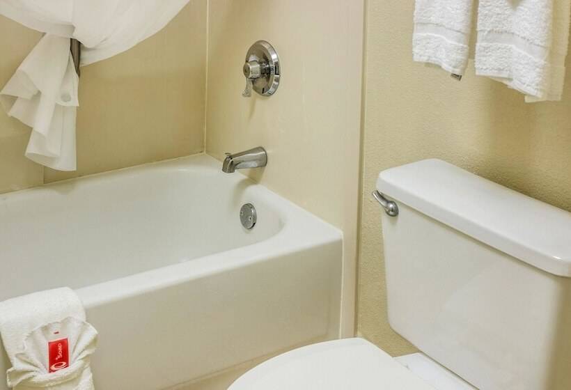 Номер Стандарт 2 Двуспальные Кровати, Econo Lodge