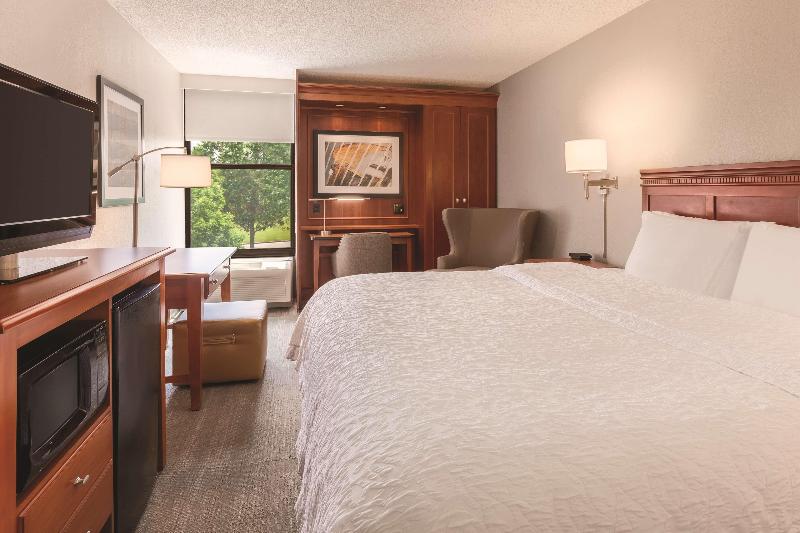 스탠다드 룸 킹사이즈 침대, Hampton Inn Des Moinesairport