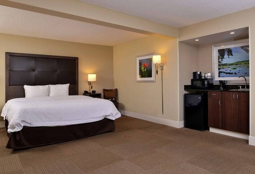 스탠다드 룸 더블 침대, Hampton Inn South Hill