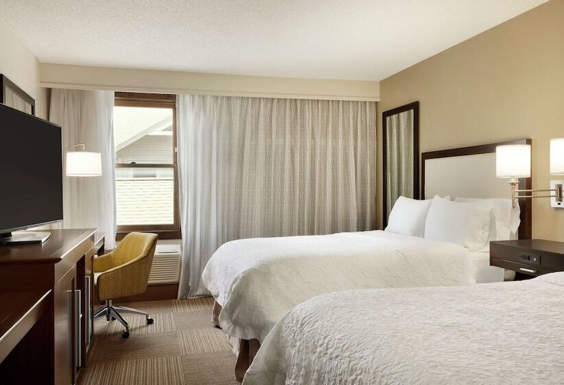 장애인을 위한 스탠다드 룸, Hampton Inn & Suites Springdale