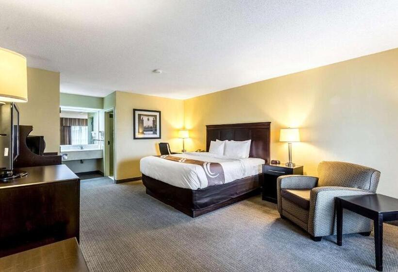 带大床的标准间, Quality Inn Union City Us 51