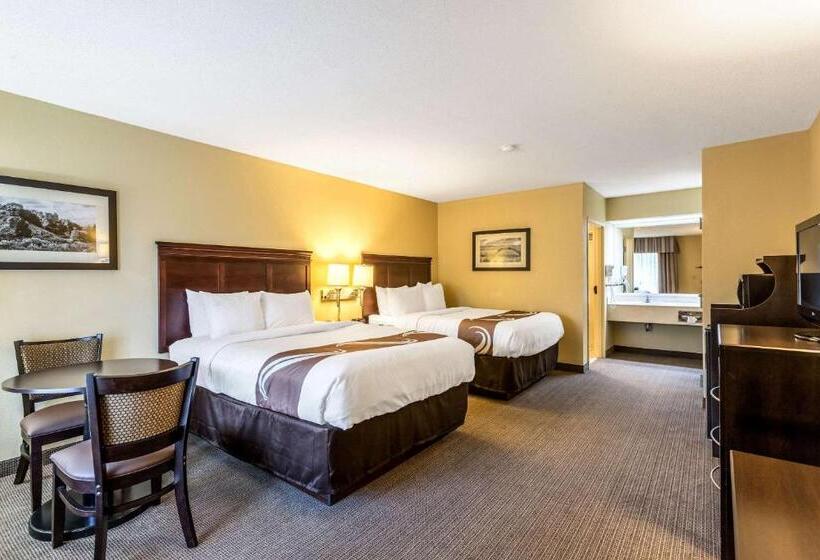 适合残疾人使用的标准间, Quality Inn Union City Us 51