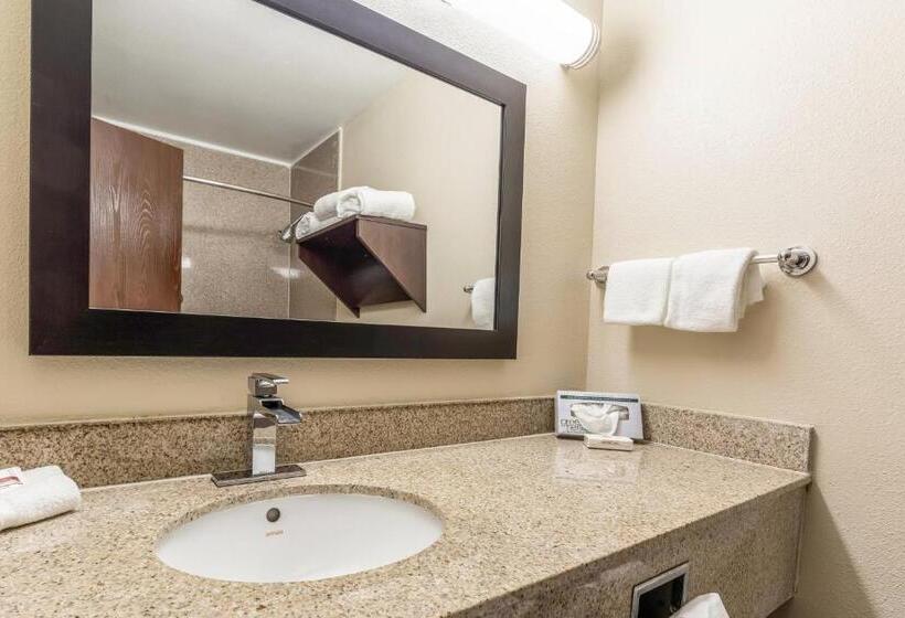 豪华房间, Red Roof Inn Plus & Suites Houston   Iah Airport Sw