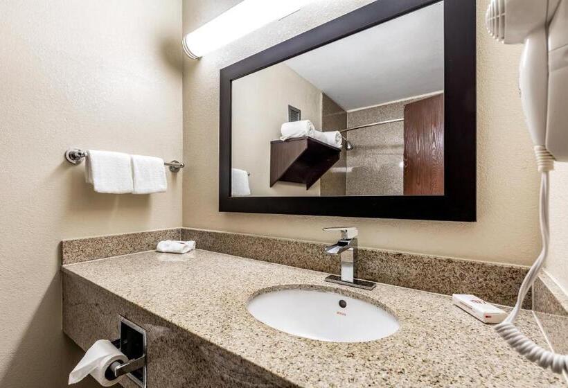 高级客房, Red Roof Inn Plus & Suites Houston   Iah Airport Sw