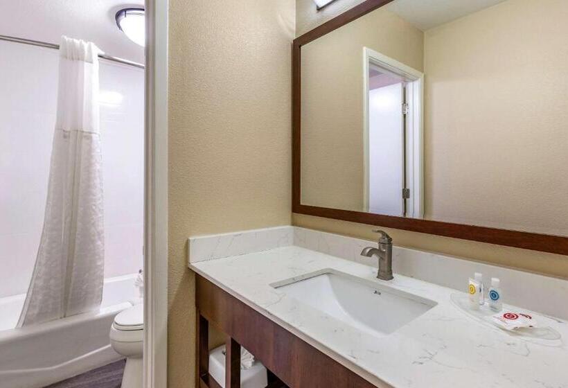 Номер Стандарт Адаптированный для Инвалидов, Comfort Suites At Sabino Canyon