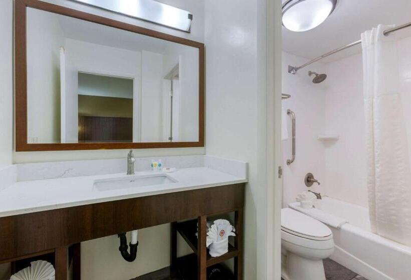 Люкс Адаптированный для Инвалидов, Comfort Suites At Sabino Canyon