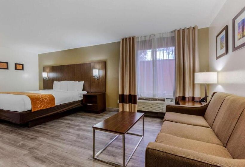 Люкс Адаптированный для Инвалидов, Comfort Suites At Sabino Canyon