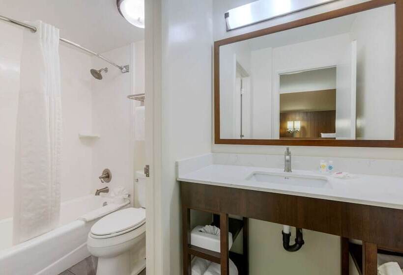 Люкс, Comfort Suites At Sabino Canyon