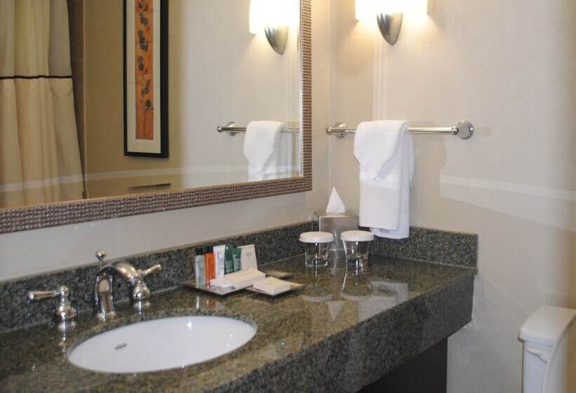 Номер Стандарт, Hilton Arlington National Landing