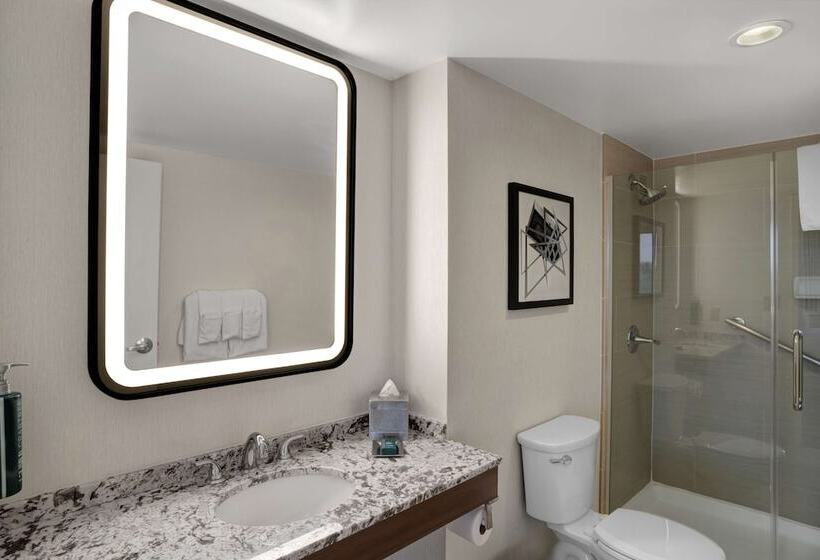Полулюкс, Hilton Arlington National Landing