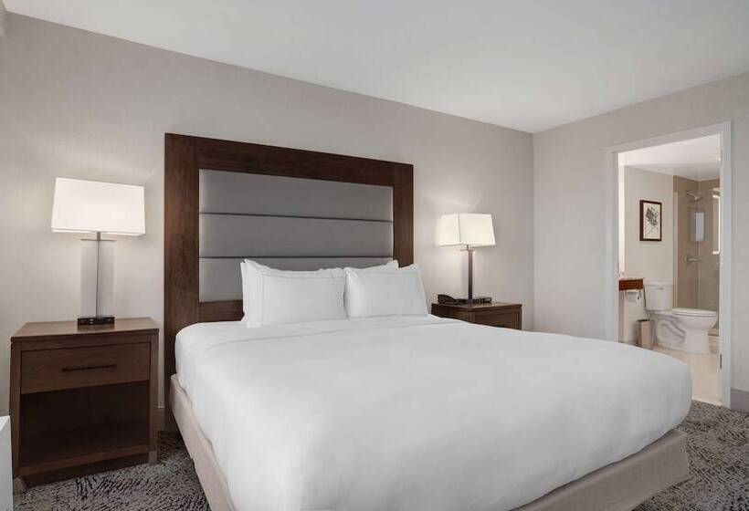 Полулюкс, Hilton Arlington National Landing