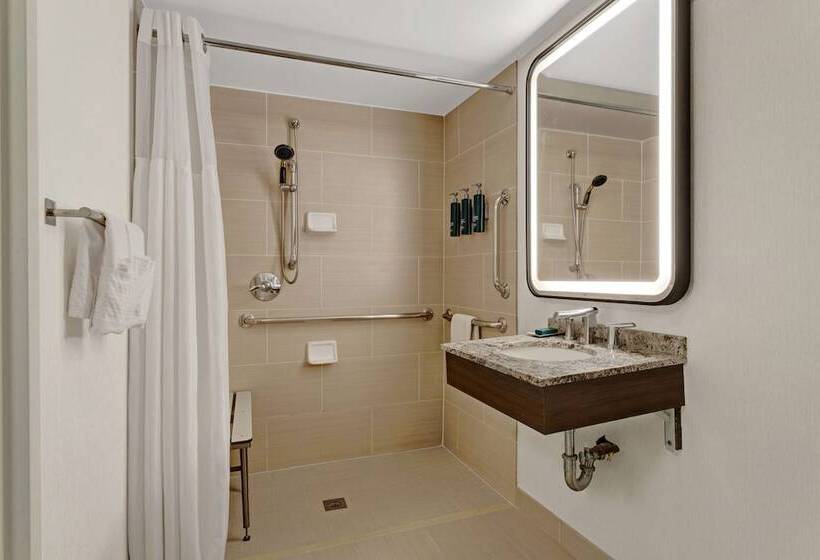 Номер Стандарт Адаптированный для Инвалидов, Hilton Arlington National Landing