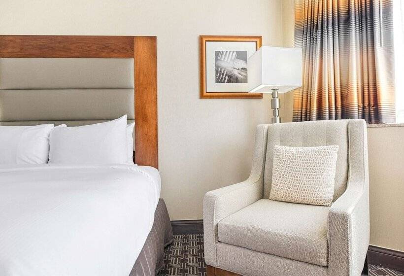 Номер Стандарт, Hilton Arlington National Landing
