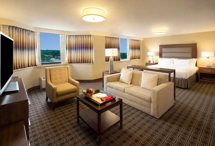 Полулюкс, Hilton Arlington National Landing