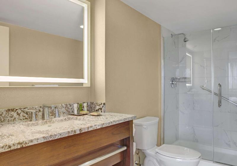 Полулюкс Кровать Кинг, Hilton Arlington National Landing