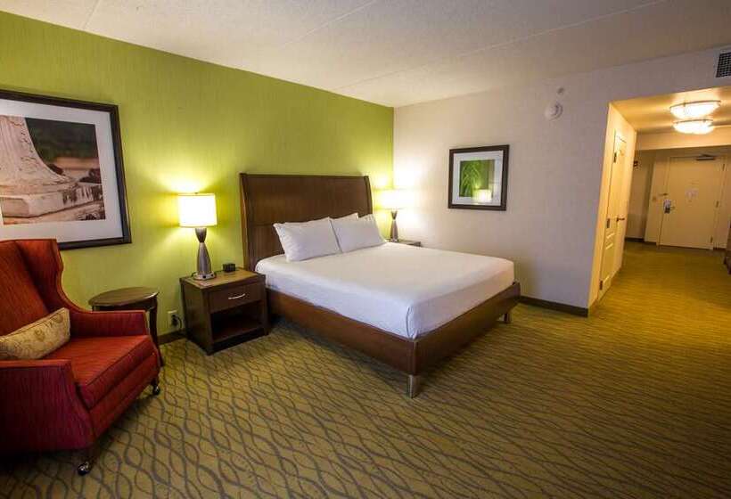 Стандартный Номер Кровать Кинг, Hilton Arlington National Landing
