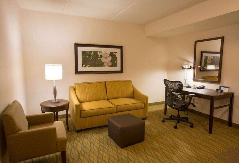 Стандартный Номер Кровать Кинг, Hilton Arlington National Landing