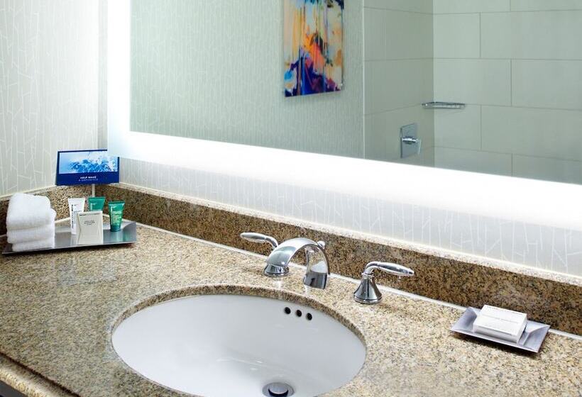 Номер Стандарт 2 Двуспальные Кровати, Hilton Minneapolisst. Paul Airport