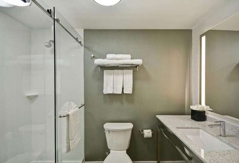 اتاق استاندارد با تخت بزرگ, Hilton Orlando/altamonte Springs