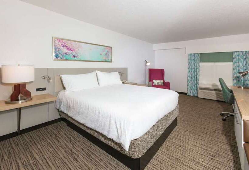 اتاق استاندارد با تخت بزرگ, Hilton Orlando/altamonte Springs